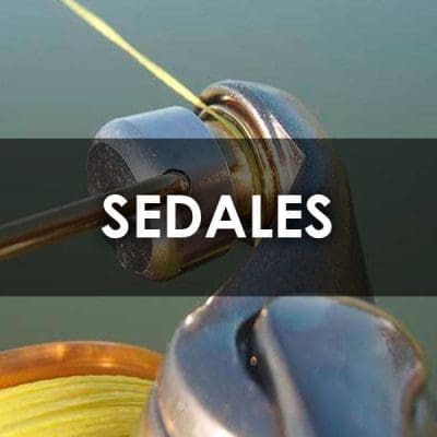 Sedales