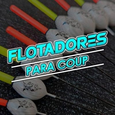 Coup