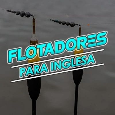 Inglesa