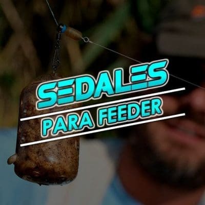 Feeder