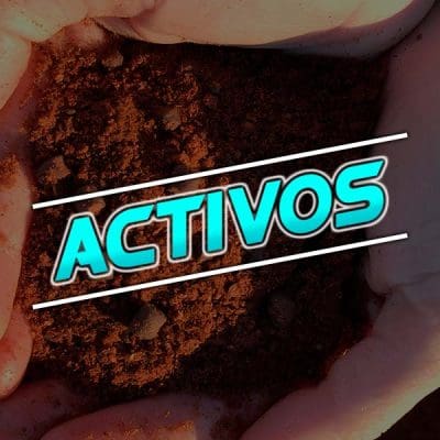 ¡ACTIVOS!