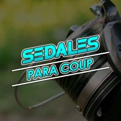 Coup