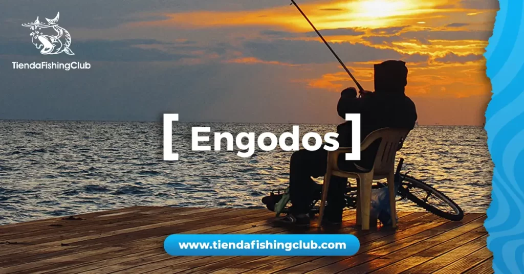 como elegir tu engodo de pesca
