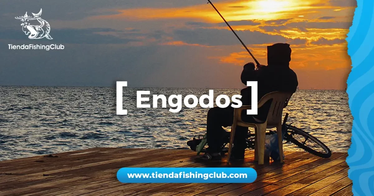 como elegir tu engodo de pesca